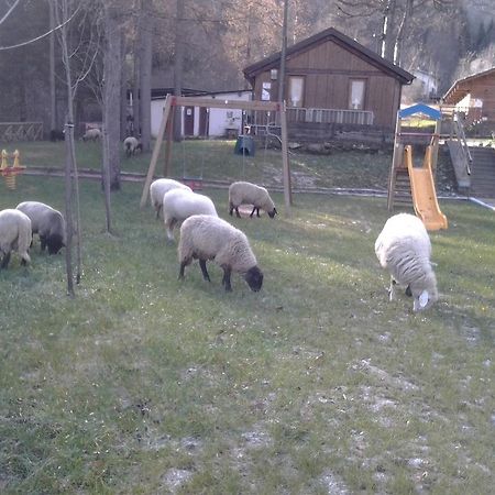 B&B La Miando Salza di Pinerolo Zewnętrze zdjęcie