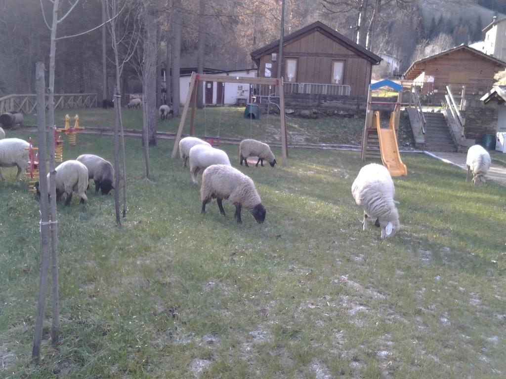 B&B La Miando Salza di Pinerolo Zewnętrze zdjęcie